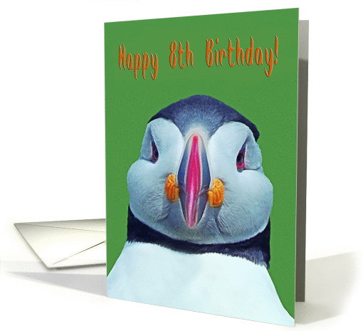 Happy 8th Birthday, funny puffin card (1360938)