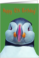 Happy 12th Birthday, funny puffin card