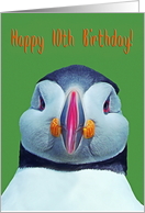Happy 10th Birthday, funny puffin card