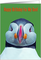 Happy Birthday for Son, funny puffin card