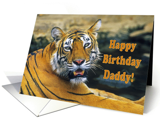 Happy Birthday Daddy, portrait bengal tiger card (1361472)