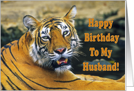Happy Birthday To My Husband, portrait bengal tiger card