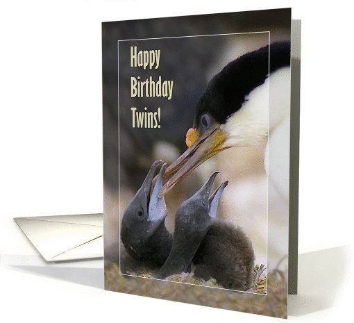 Happy Birthday Twins , Blue-eyed Cormorant with two chicks card