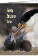 Happy Birthday Twins , Blue-eyed Cormorant with two chicks card