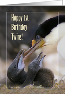 Happy 1st Birthday Twins , Blue-eyed Cormorant with two chicks card