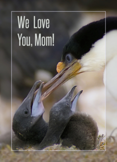 We love you, Mom ,...
