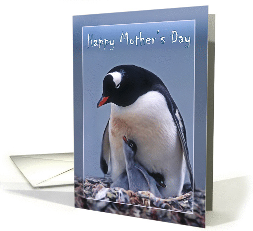 Happy Mother's Day, Penguin with two chicks card (1364200)