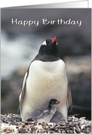 Happy Birthday from all of us, Penguin with two chicks card