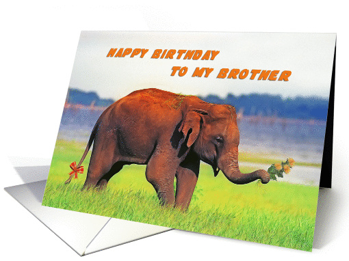 Happy birthday To My Brother, Elephant card (1364266)
