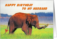 Happy birthday To My Husband, Elephant card