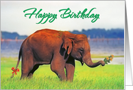 Happy birthday , Elephant with flowers card