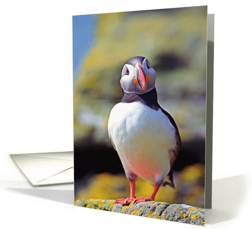 Funny puffin portrait card (1364280)
