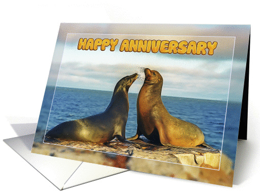 Happy Anniversary, Two funny fur seals card (1364314)