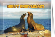 Happy Anniversary, Two funny fur seals card