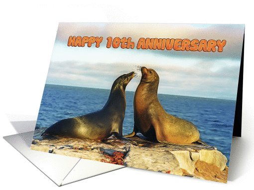 Happy 10th Anniversary, Two funny fur seals card (1364318)