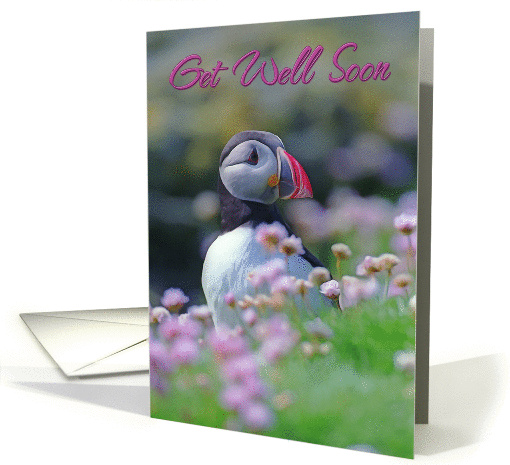 Get Well Soon, Puffin with flowers card (1366190)