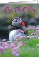 Get Well Soon, Puffin with flowers card