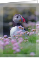 Puffin with flowers card