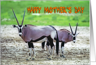 Happy Mother’s Day. Orix mother with baby card