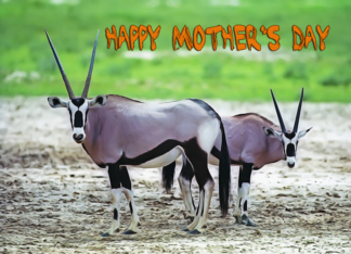 Happy Mother's Day....