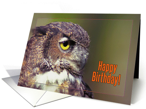 Happy Birthday, Owl profile card (1368414)