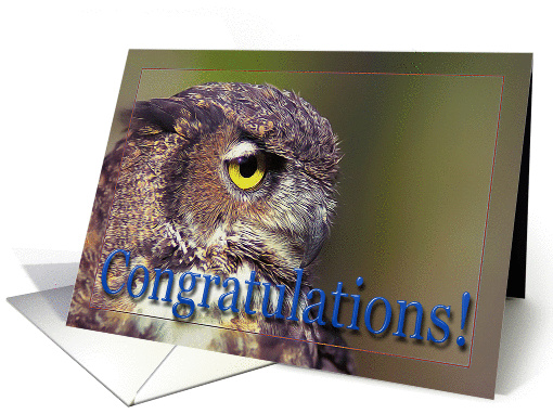 Graduation Congratulations, Owl profile card (1368416)