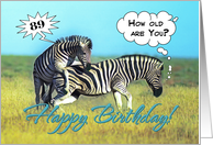 Happy 89th Birthday, Two funny zebras card