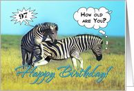 Happy 97th Birthday, Two funny zebras card