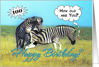 Happy 100th Birthday, Two funny zebras card