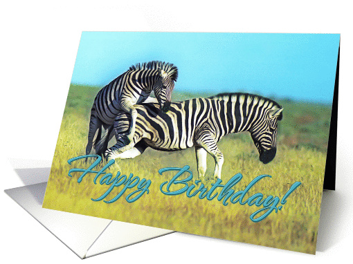 Happy Birthday, Two funny zebras card (1397582)