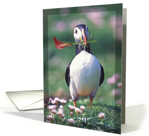 Puffin with flower Any Occasion Blank card (1400564)