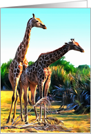 Two giraffes card