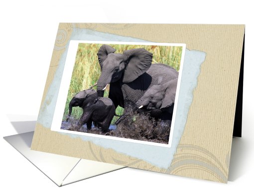 Family elephants card (610803)