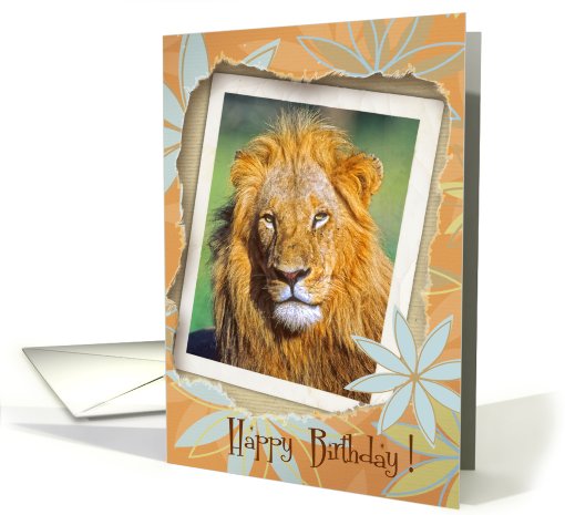 Young lion card (610809)