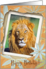 Young lion card