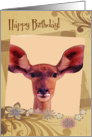 Birthday Card