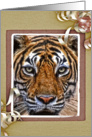 Tiger card