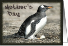 Mother’s day, Penguin & Egg card