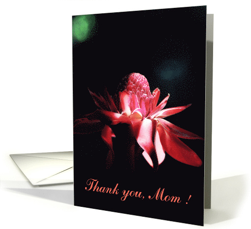 Mother's Day for Mom card (612273)