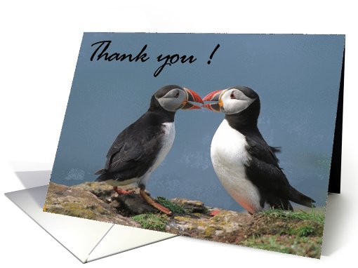 Thank you, two Puffins card (612655)