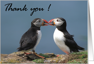 Thank you, two Puffins card