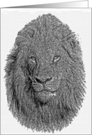 Lion portrait Card
