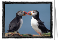 Love birds Card