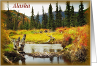 Alaska Card