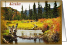 Alaska Card