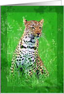 Leopard Card