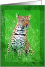 Leopard Card