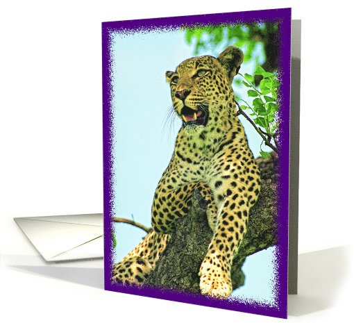 Leopard card (615004)