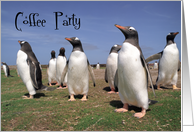 Coffee party Penguin Invitation card