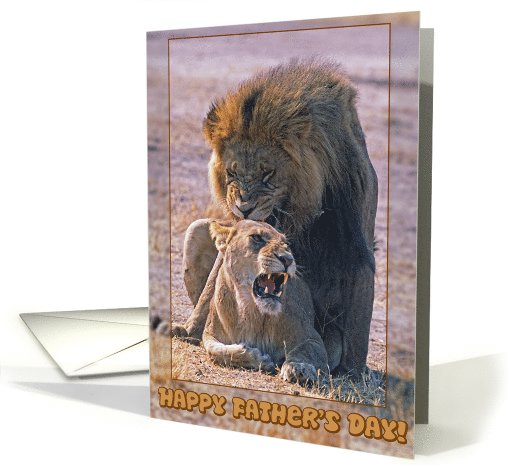 Father's day greeting card, Lions card (617170)